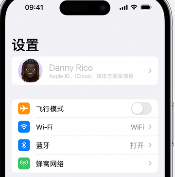 翰林镇appleID维修服务iPhone设置中Apple ID显示为灰色无法使用