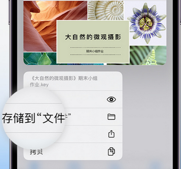 翰林镇apple维修中心分享iPhone文件应用中存储和找到下载文件