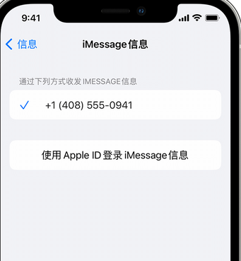 翰林镇apple维修iPhone上无法正常发送iMessage信息 