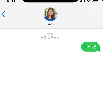 翰林镇apple维修iPhone上无法正常发送iMessage信息