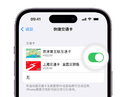 翰林镇apple维修点分享iPhone上更换Apple Pay快捷交通卡手绘卡面 