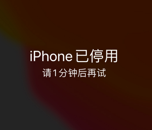 翰林镇苹果手机维修分享:iPhone 显示“不可用”或“已停用”怎么办？还能保留数据吗？ 