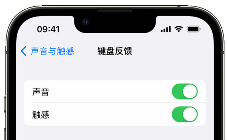 翰林镇苹果手机维修分享iPhone 14触感键盘使用方法 