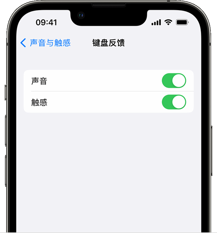 翰林镇苹果14维修店分享如何在 iPhone 14 机型中使用触感键盘 