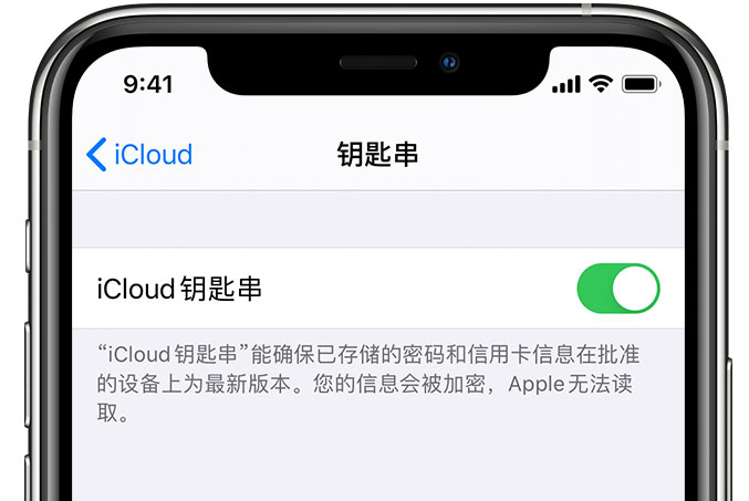 翰林镇苹果手机维修分享在 iPhone 上开启 iCloud 钥匙串之后会储存哪些信息 