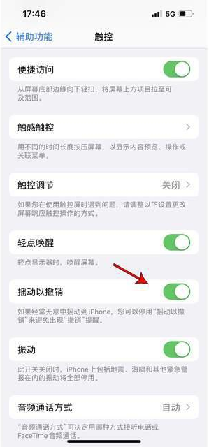 翰林镇苹果手机维修分享iPhone手机如何设置摇一摇删除文字 