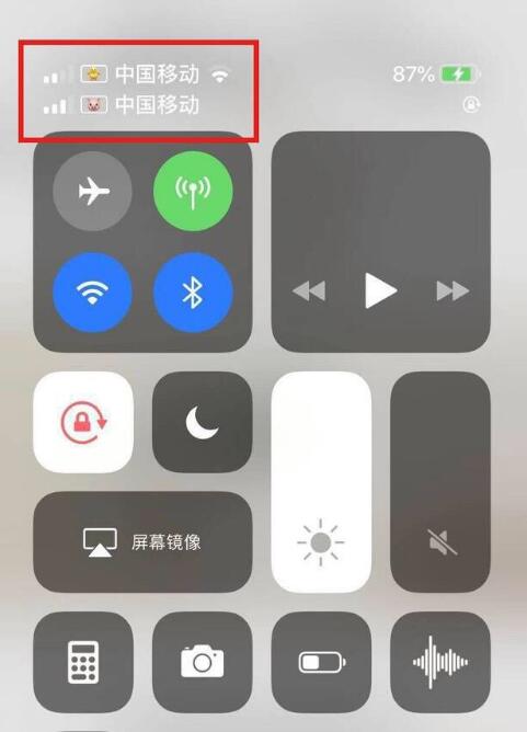 翰林镇苹果手机维修分享为 iPhone 12 双卡设置标签 